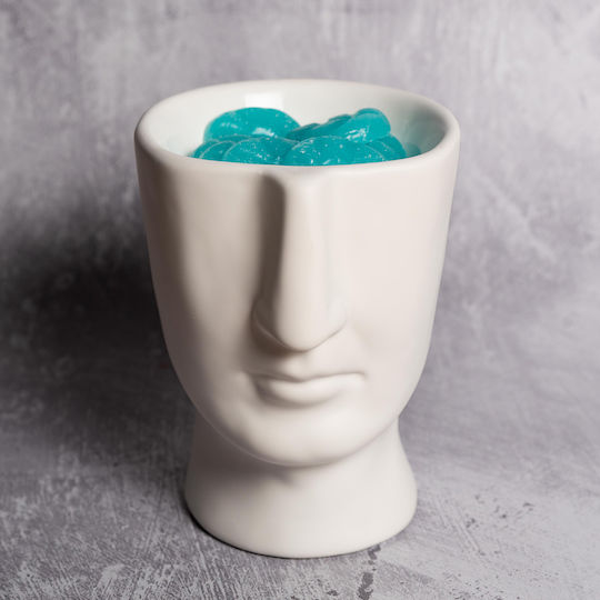 Scentchips Wax Melt Aromatic 850139
