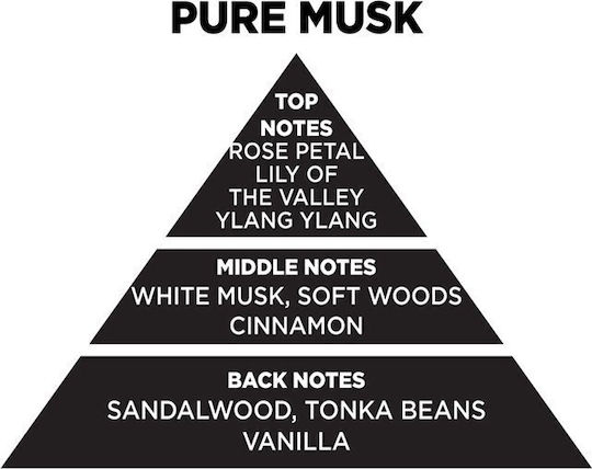 Themagio Αρωματικά Sticks με Άρωμα White Musk 100ml
