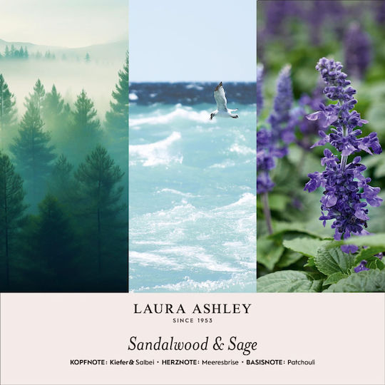 Gips-Αρωmatischer Raum Duft Ätherisches Öl Sandelholz & Salbei 200g Laura Ashley A2570 00055846
