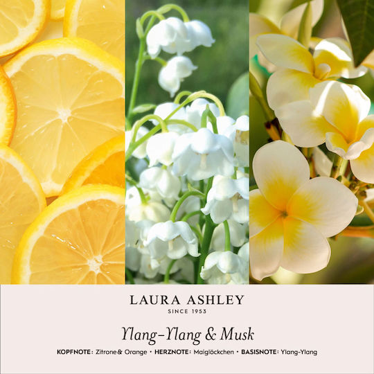 Gipsino Raumdüfte Ätherisches Öl Ylang Ylang & Musk 200g Laura Ashley A2571 00055847