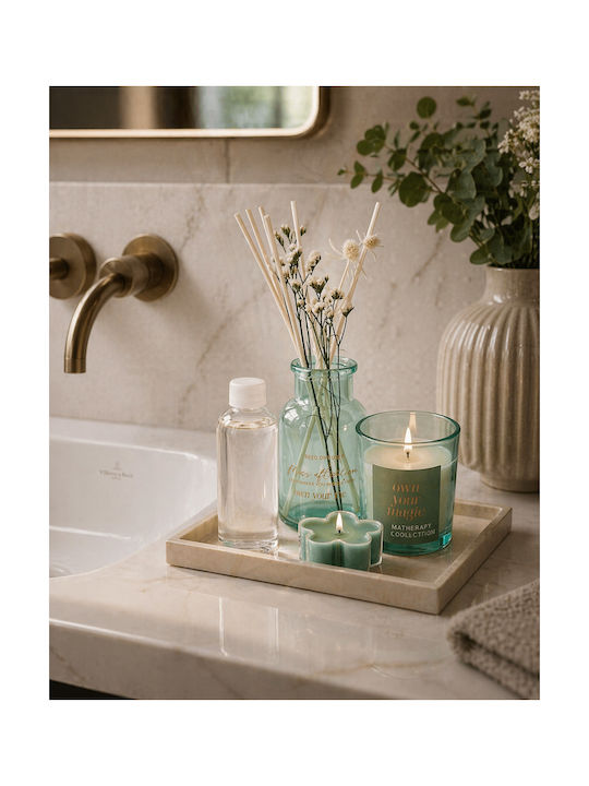 Set Home Fragrance Sticks 2 Candles Moss After Rain Mrshome Df-0012001