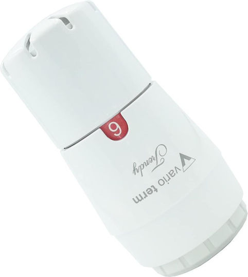 Plastic Thermostat