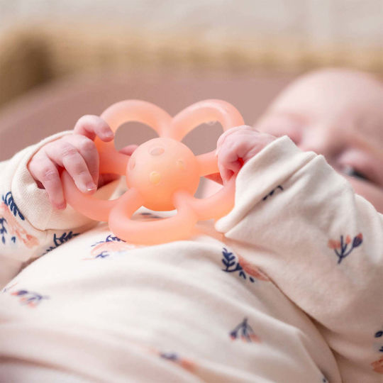 Nattou Teething Rattle Teethers & Teething Relief