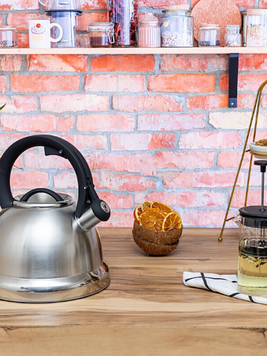 Zilan Kettle Stainless Steel Silver 3500ml