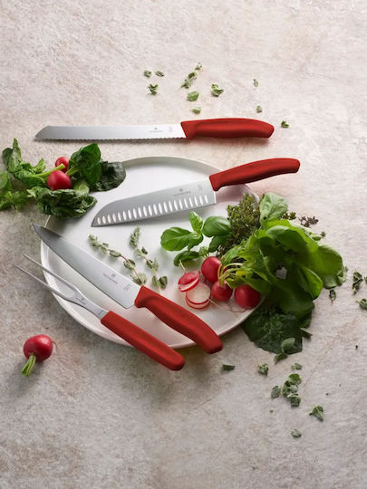 Victorinox Set Oțel inoxidabil de Gătit 2buc Roșu Swiss Classic