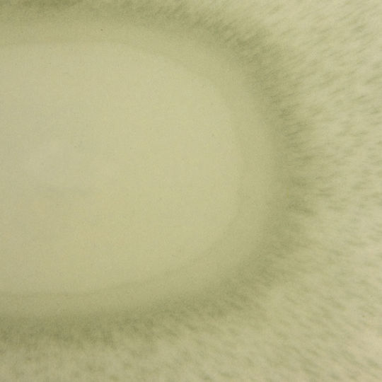 Atmosphera Πλαστικός Δίσκος Σερβιρίσματος 46x34x5cm
