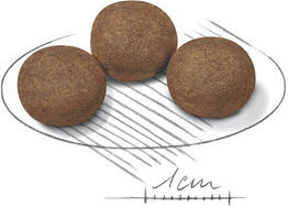 Royal Canin Medium Puppy 3kg Ξηρά Τροφή για Κουτάβια Μεσαίων Φυλών με Κοτόπουλο