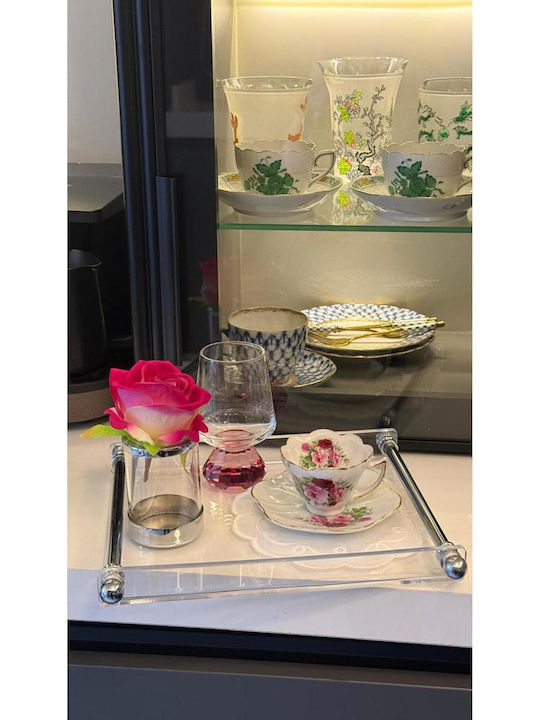 Stewehome Tavă Prezentare Cafea Plexiglas Tubular Formă Metalică Argintie Belirtilmemis