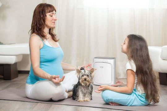 Concept Ionizator / Purificator de Aer 55W pentru Spații 25m²