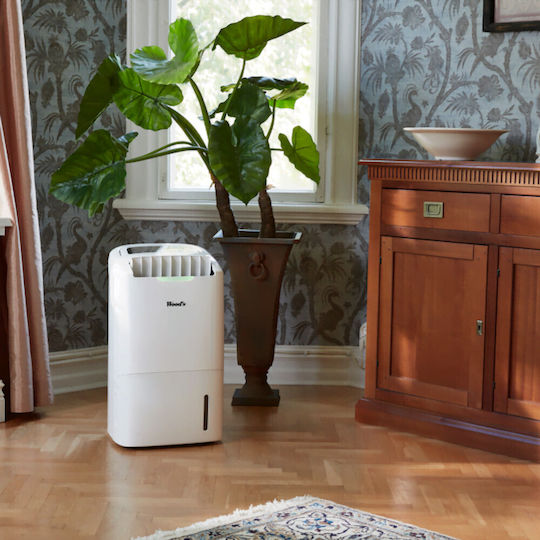 Wood's AD20G Αφυγραντήρας με Συμπιεστή και Ιονιστή 23lt