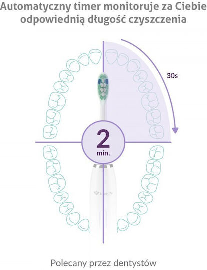 TrueLife Sonicbrush Electric Toothbrush With White Travel Case