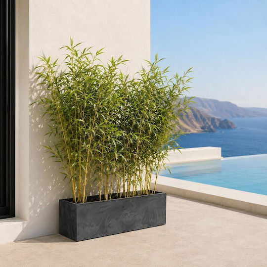 Next Plastic Anthracite Planter Box Next Plastic Anthracite Planter Box