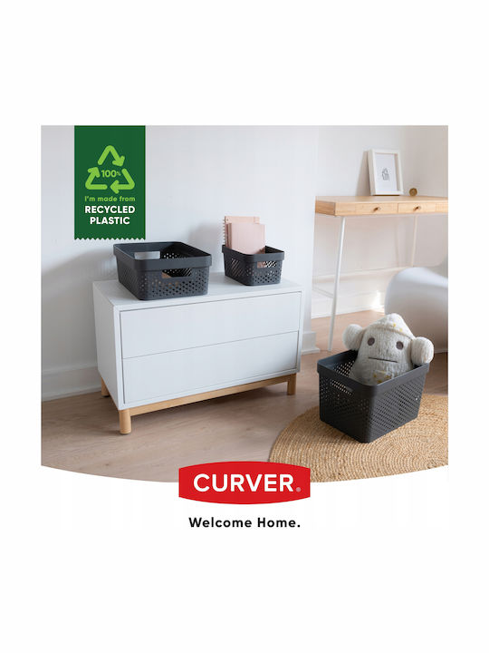 Curver Plastic Cutie de Depozitare cu Capac Gri 36x27x22cm 1buc