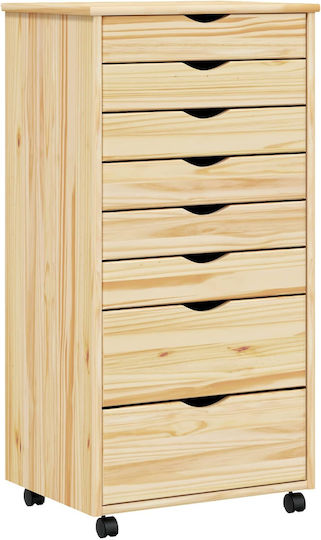 Schublade Büro Transparent Varnish 53x39x103cm