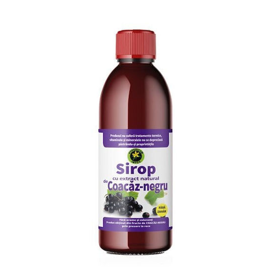 Low-calorie Blackcurrant Syrup 500ml Hypericum Impex