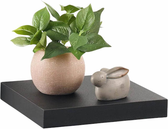 Floating Black Wall Shelf 25x22.8x3.4cm