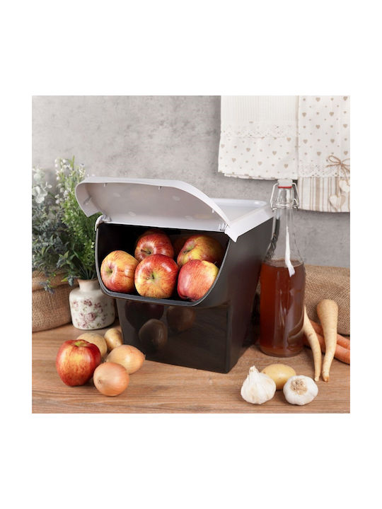 Vilde General Use Vase with Plastic Lid Black 27.5x26x34cm 1 Pieces