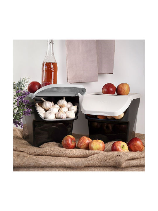 Vilde General Use Vase with Plastic Lid Black 27.5x26x34cm 1 Pieces