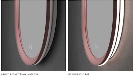 Imex Oval Badezimmerspiegel LED aus Metall 50x90cm Braune