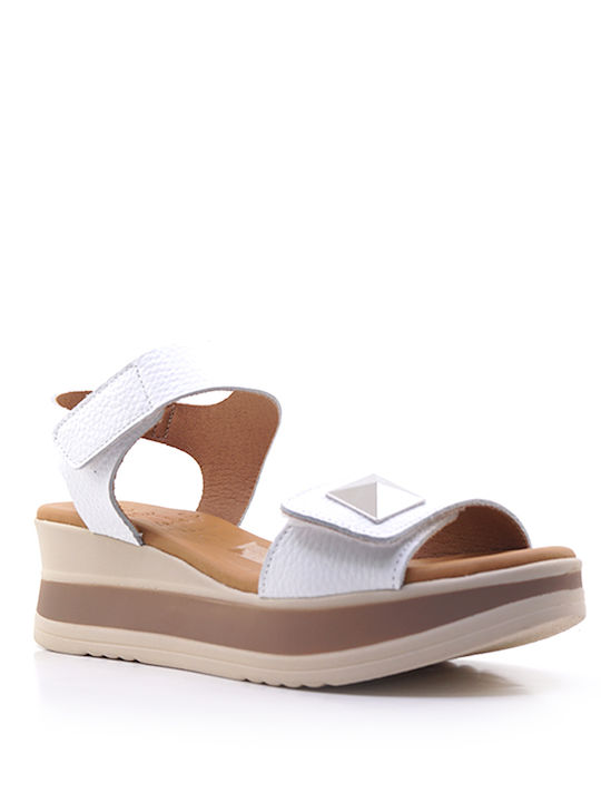 Oh My Sandals Oh My Sandals