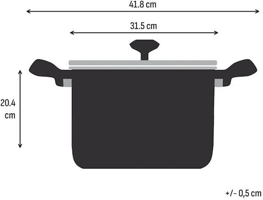 Tefal Emotion+ Deep Stainless Steel Pot 11.4lt / 30cm