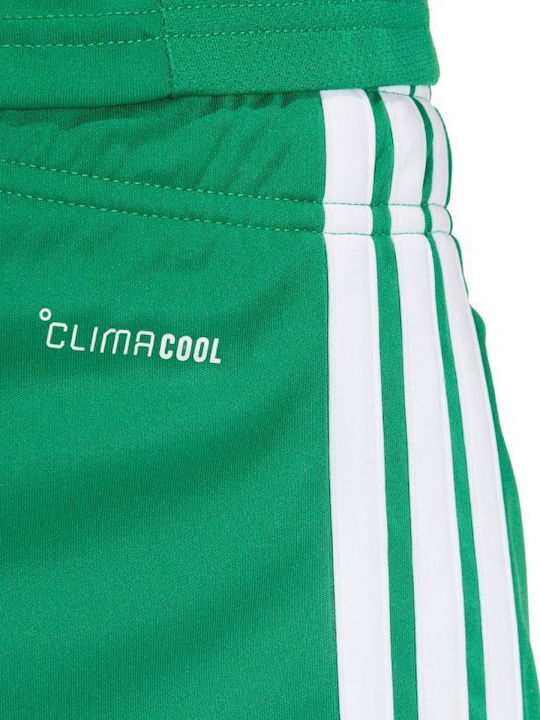 Sports Men's Bermuda Green