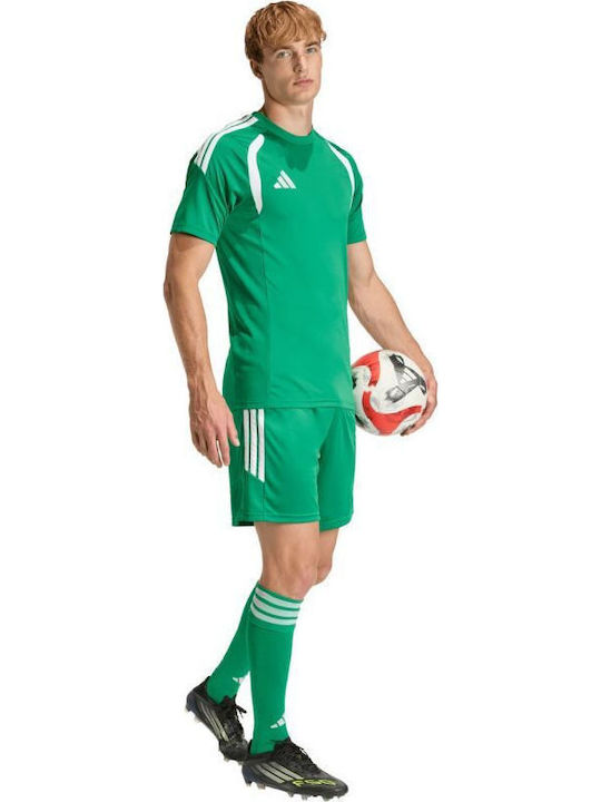 Sports Men's Bermuda Green