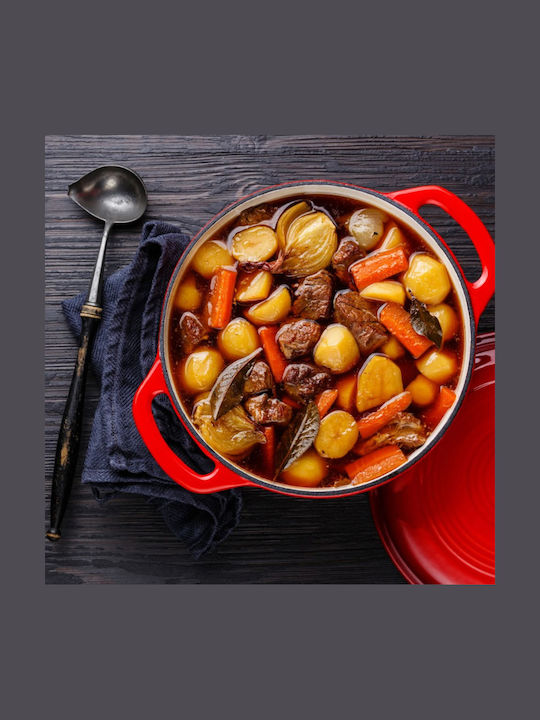 ArtGaz JTA22 Deep Pot made of Cast Iron 2.6lt / 22cm Red