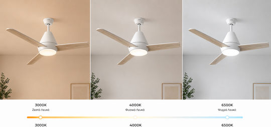 Gruppe 48-12183DC Ventilator De Tavan 122cm Cu Lentile De Mărire Alb
