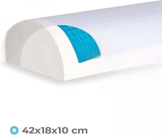 SteweHome Pillow 42x18cm in White Colour STE-031447-P31447