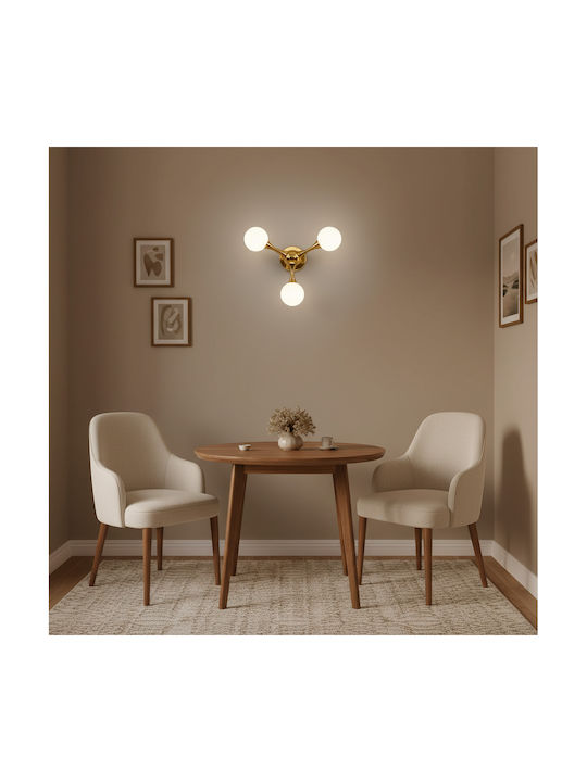 Alista Home Lumină de Perete Modernă cu Bază G9 Auriu 40x28cm