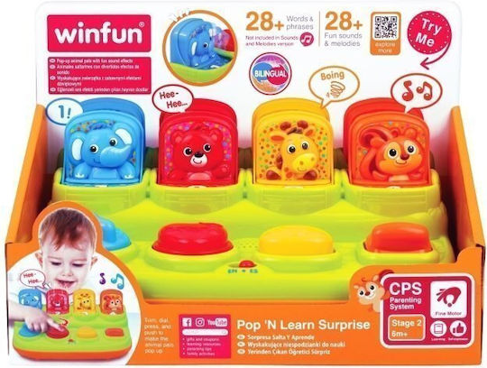 Winfun Winfun Baby Aktivitätsspielzeug Tier Pop ‘n Learn mit Sounds für 6+ Monate