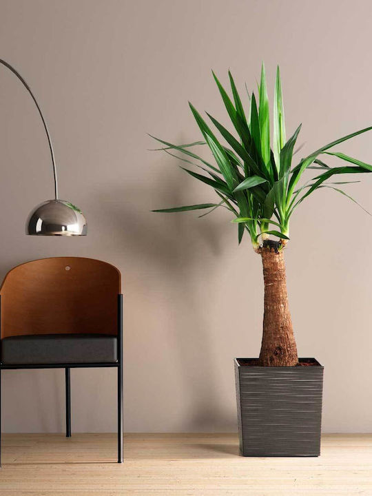 HowHomely Pflanzentöpfe Kunststoff Schwarz 30cm