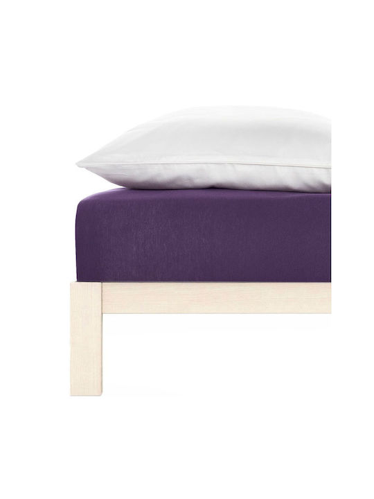 Living Home Double Bed Sheet With Rubber Hugger 160x200+30cm Brombeer