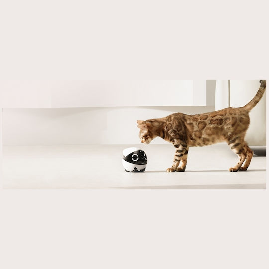 Enabot Rola Mini IP Companion Robot Κάμερα Wi-Fi Full HD+ 4MP Μπαταρίας με Αμφίδρομη Επικοινωνία