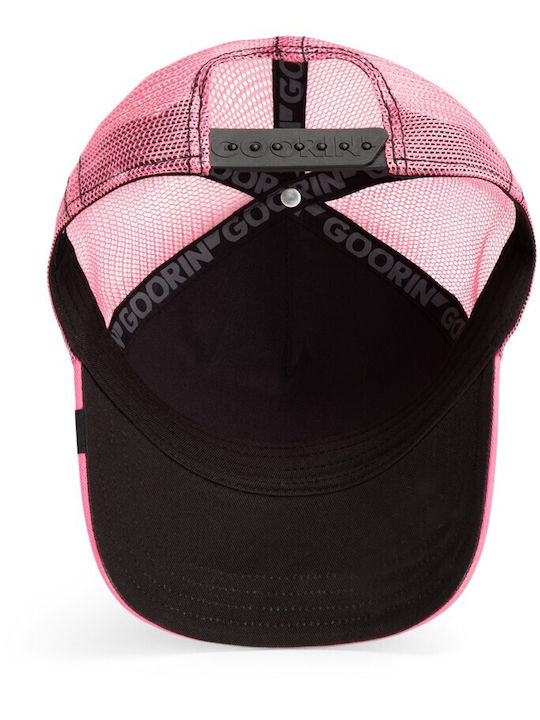 Jockey Popart Queen Lion Lioness Pink Goorin Bros