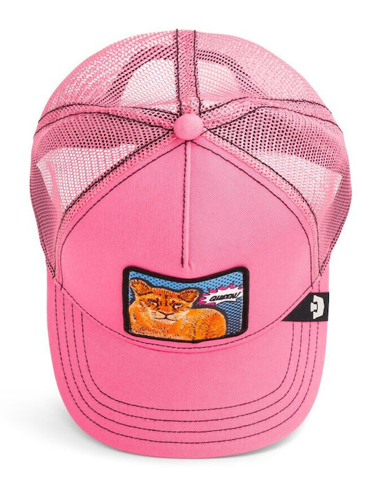 Jockey Popart Queen Lion Lioness Pink Goorin Bros