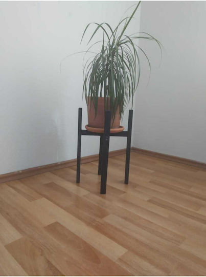 SteweHome Wooden Black Plant Stands 24cm 10 Pieces