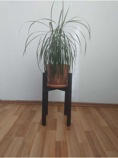 SteweHome Wooden Black Plant Stands 24cm 10 Pieces