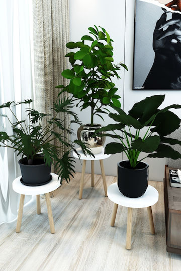 SteweHome White Wooden Plant Stands 23x23x28cm 3 Pieces