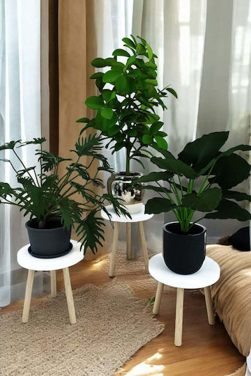 SteweHome White Wooden Plant Stands 23x23x28cm 3 Pieces