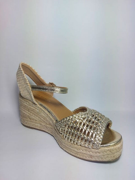 Ideal Shoes