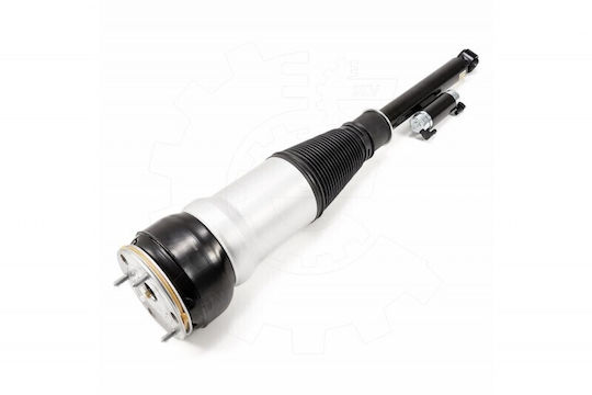 Gas Shock Absorber Mercedes-Benz S-Class 2223207313
