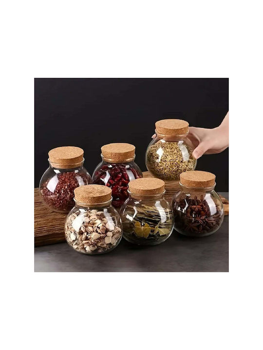 SteweHome Glass White Tea Coffee Vase with Cork and Stand