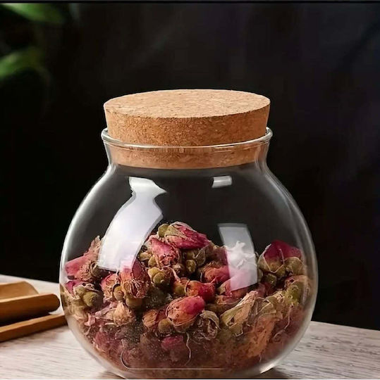 SteweHome Glass White Tea Coffee Vase with Cork and Stand