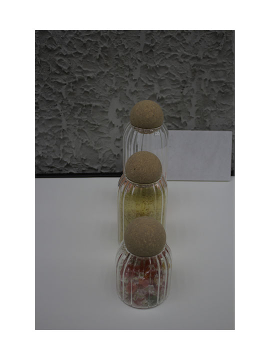 SteweHome Set of 3 General Use Glass Jars with Cork 1000ml