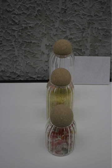 SteweHome Set of 3 General Use Glass Jars with Cork 1000ml
