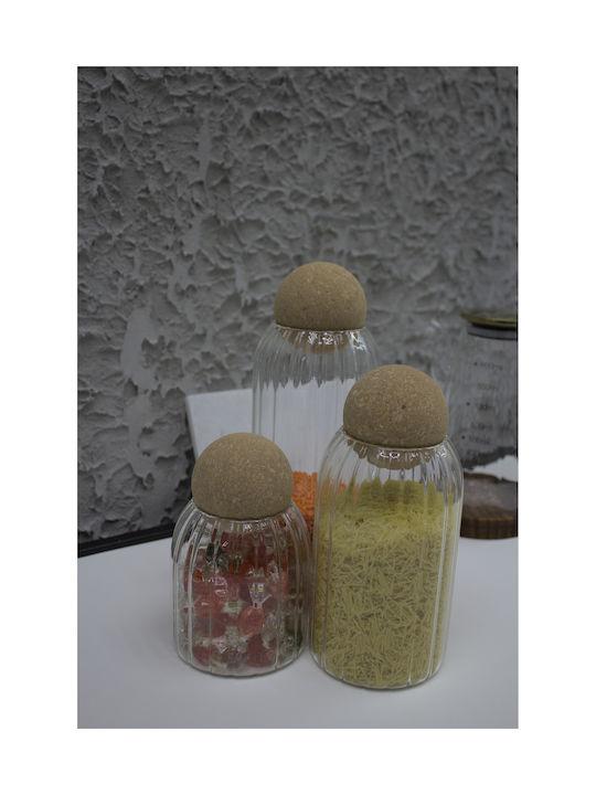 SteweHome Set of 3 General Use Glass Jars with Cork 1000ml