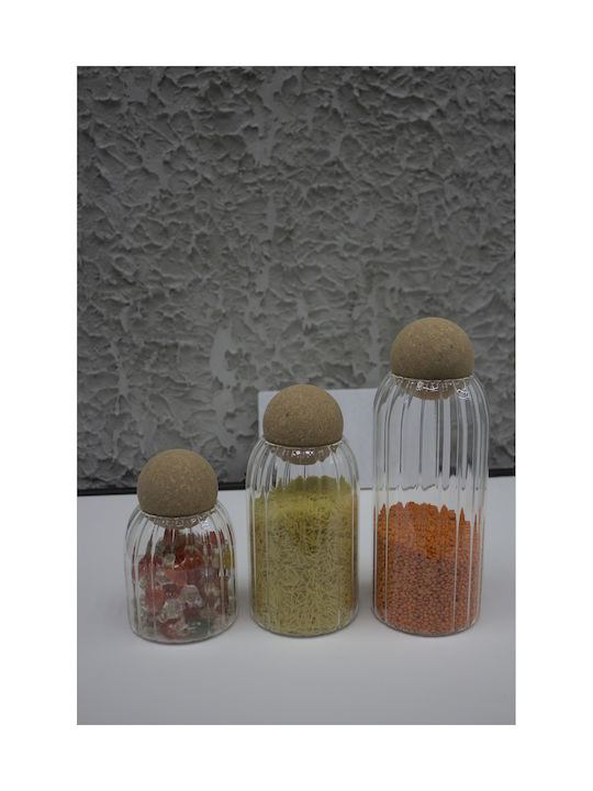 SteweHome Set of 3 General Use Glass Jars with Cork 1000ml