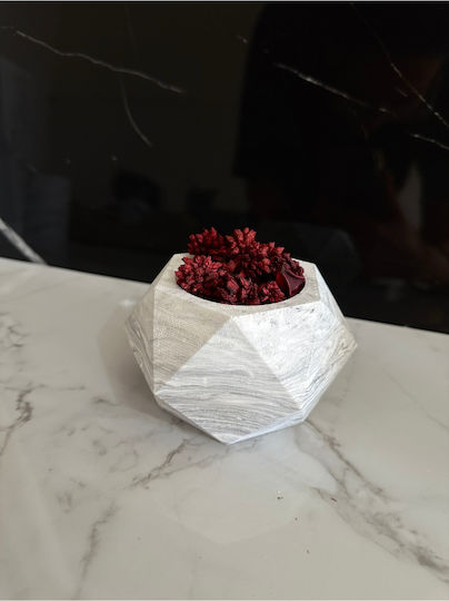 SteweHome Decorative Vase Concrete Grey 7x7xH11cm